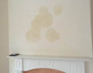 RISING DAMP