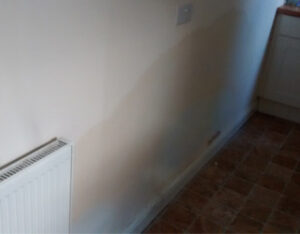 PENETRATING DAMP