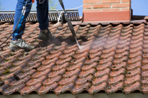 ROOF CLEANING bedfordview