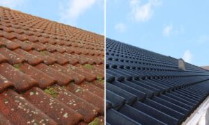 ROOF PAINTING bedfordview