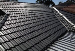 ROOF painting bedfordview