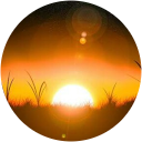 Lydia Laas profile picture